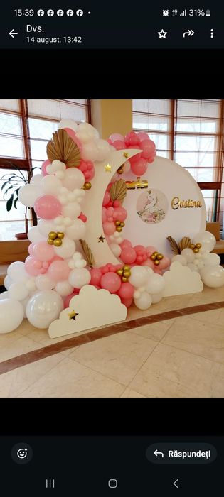 Baloane,botez . Pachet all inclusive 1000 lei