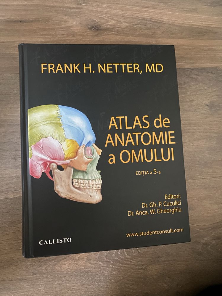 Atlas anatomie netter