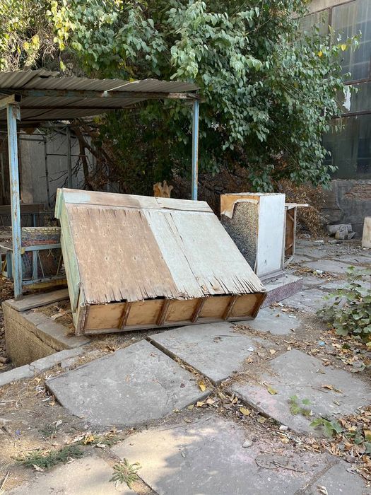 Eski reka va oʻtinlar