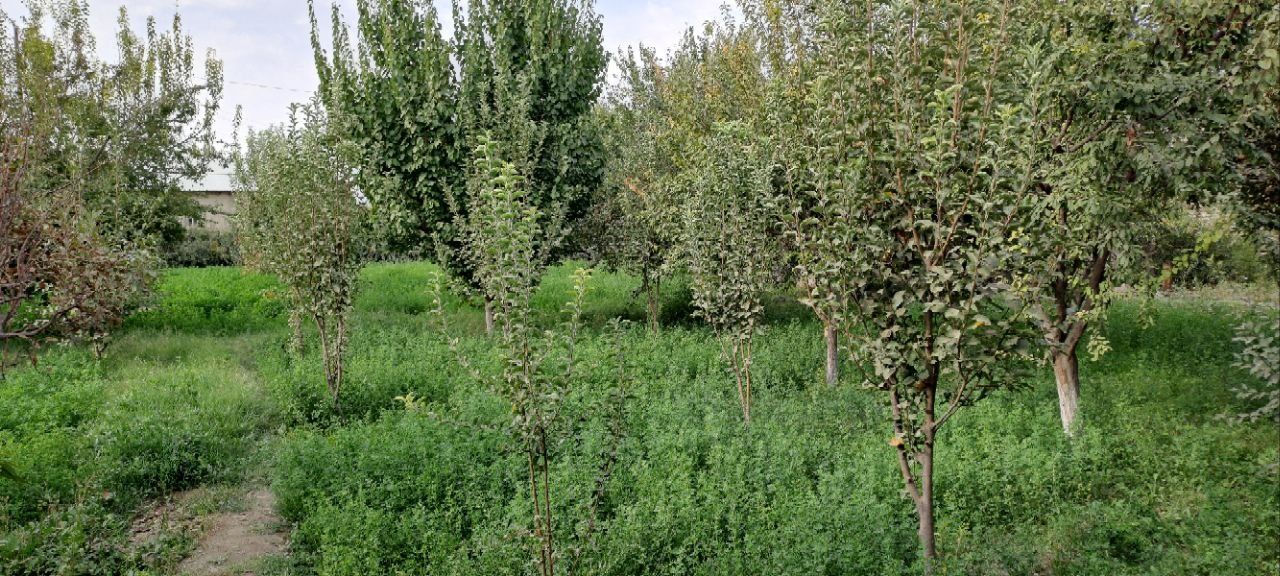 Продаётся   участок в Кагане , возле ресторана НУР-ХАЯТ 16 соток