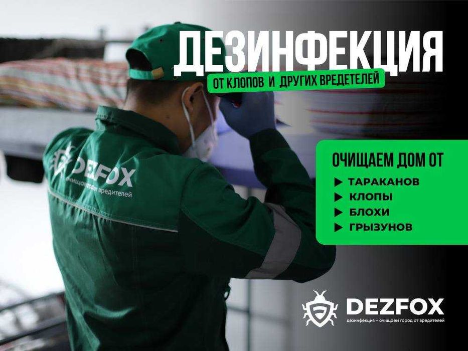 Дезинфекция Алматы Уничтожение Насекомых Таракан Мышей Крыс БЕЗОПАСНО