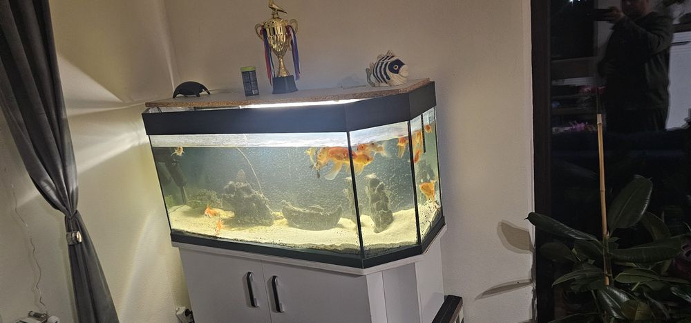 Acvariu 280 L cu mobilier inclus