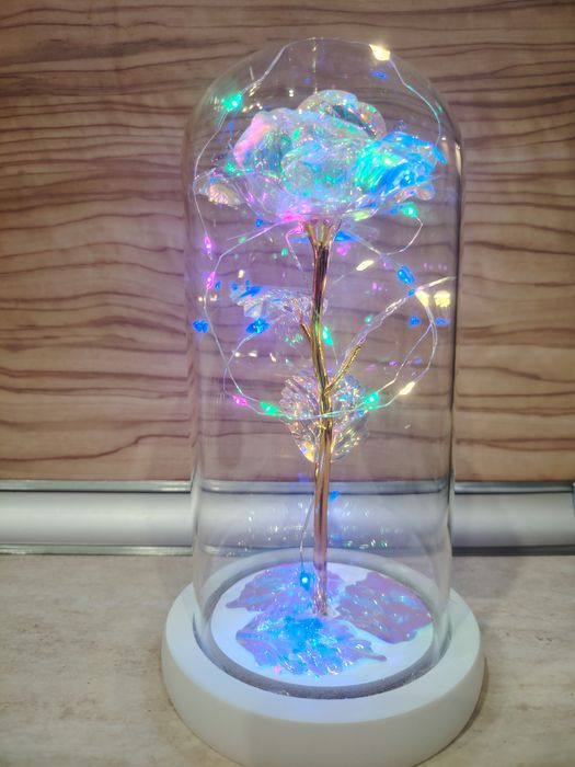 Роза в стъкленица