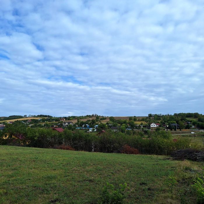 Teren intravilan Proselnici, Miroslava