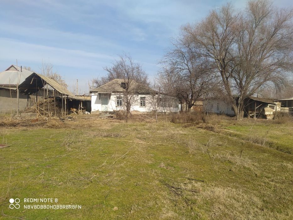 Уй сотилади сирдарёо бахт