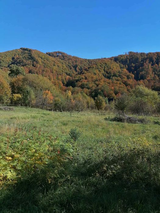 De vanzare teren intravilan 4500 mp,cu casa veche in Sovata