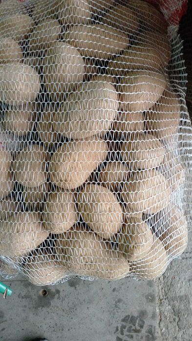 Vand cartofi de Franta