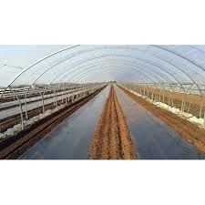 FOLIE MULCIRE 15 Microni NEPERFORATA 0.8x1500m;1x1500m;1.2x1500m;UV