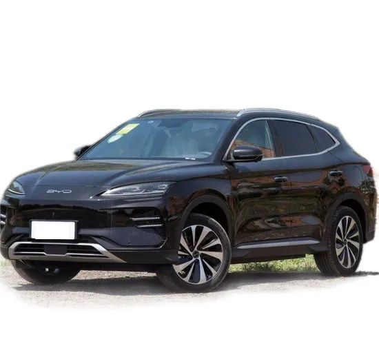 BYD champion smart