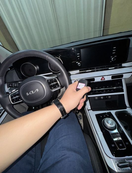 Kia carnival/Киа карнивал