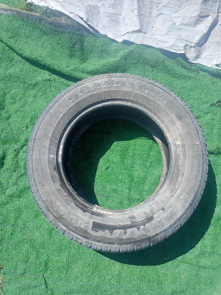 Шина одиночка Dunlop