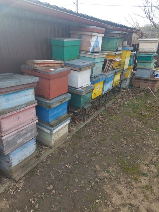 Vindem lăzi de stupi