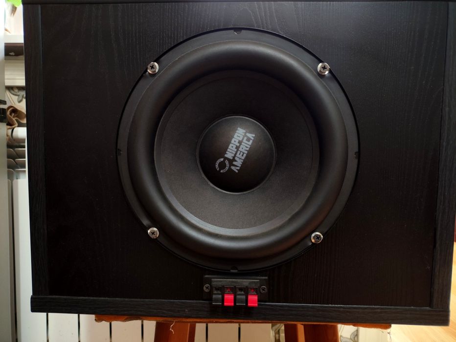 Колонка 2х полосная  100 Ватт