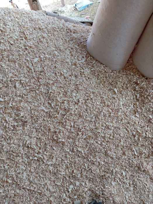 Apilka yaxshisi tolniki