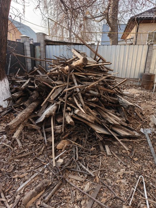 Дрова отдам даром