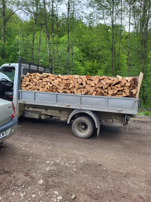 Lemne de foc fag chituci