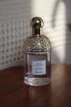 Parfum Aqua Allegoria Flora Salvaggia EDT 125 ml