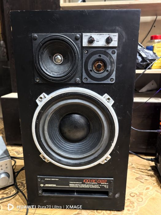 Тонколони Амфитон 100АС