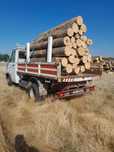 Lemne de foc esență tare de fag