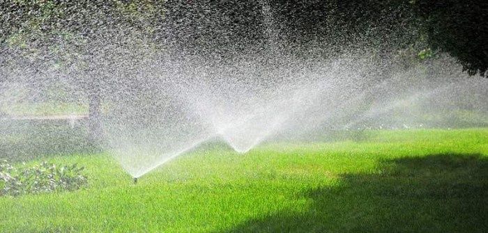 Gazon rulou și sisteme de aspersoare