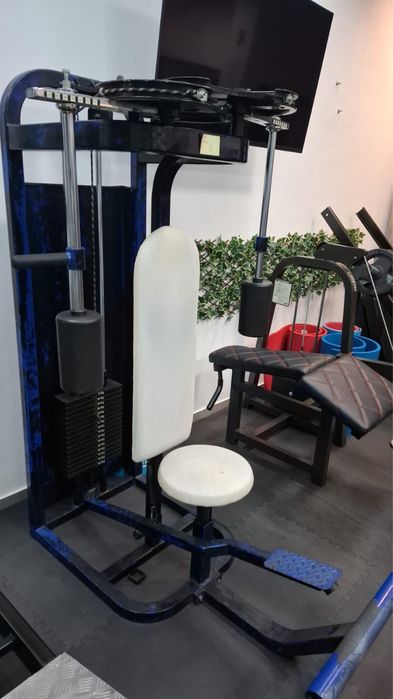 Aparat profesional fluturări piept (pec deck) – second-hand