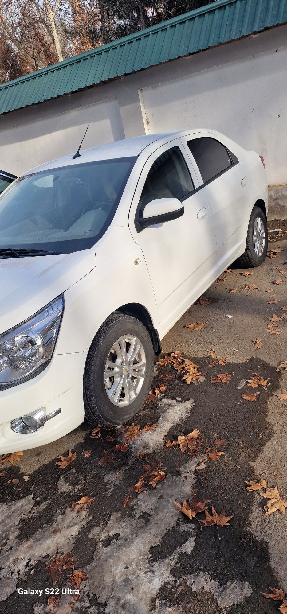 judayam srochna 24 Kobilt Sotiladi