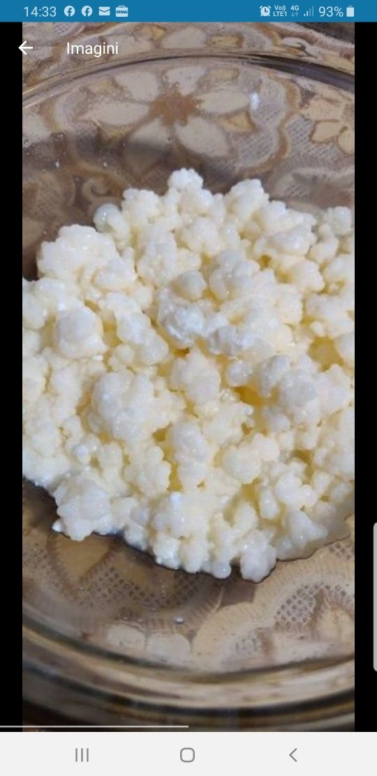 Vand cristale de ciuperci tibetane pt kefir de casă.