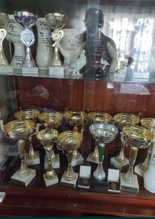 Desființare crescătorie porumbei voiajori belgieni cu rezultate expo