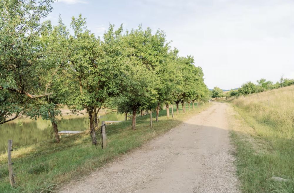 Inchiriez cabana langa lac , pescuit inclus , 6 camere .