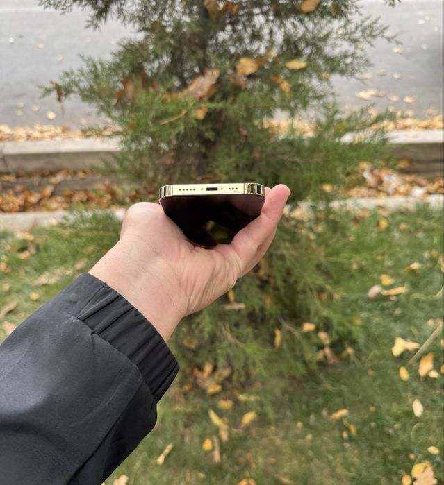 Iphone 13 Pro 128gb Gold Xolati Ideal hama joyi ishlid oqip tel qlila