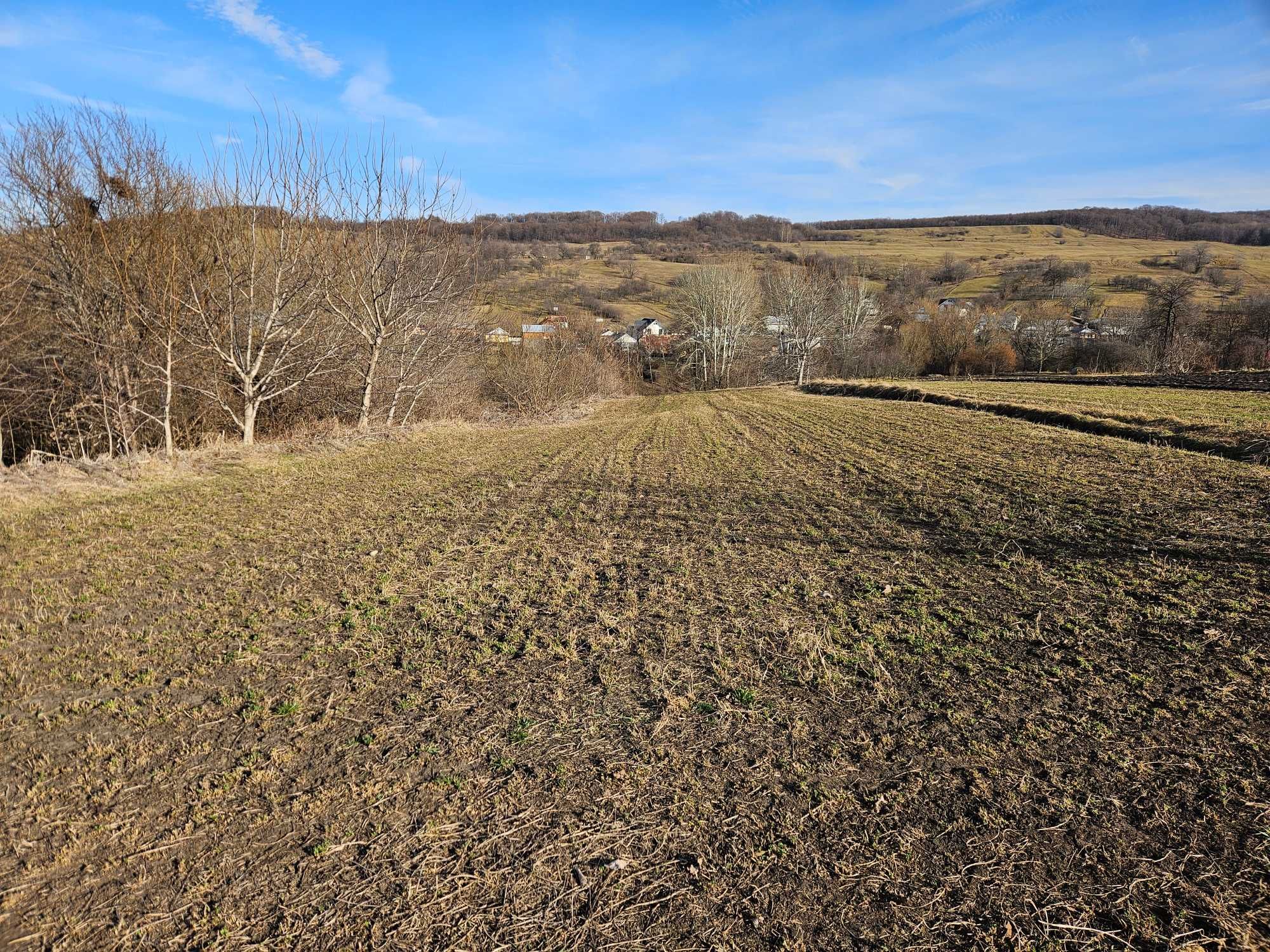 Vand teren intravilan Reuseni