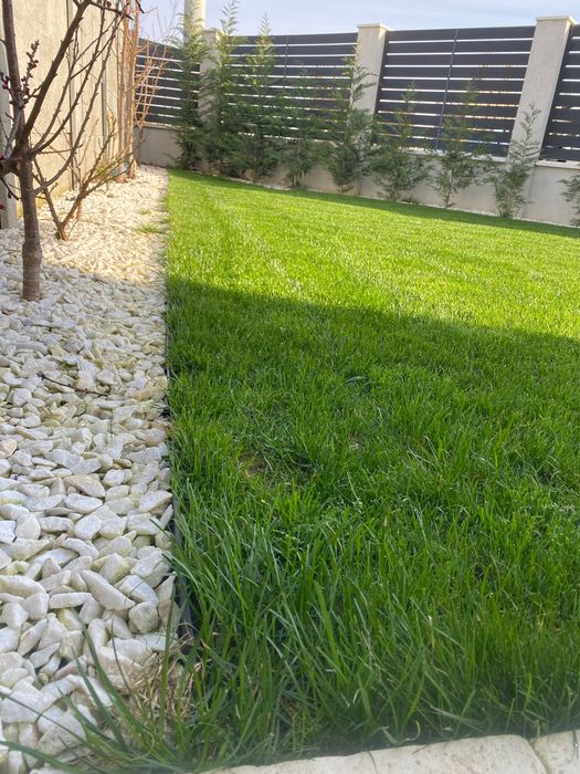 Piatră decorativă albă