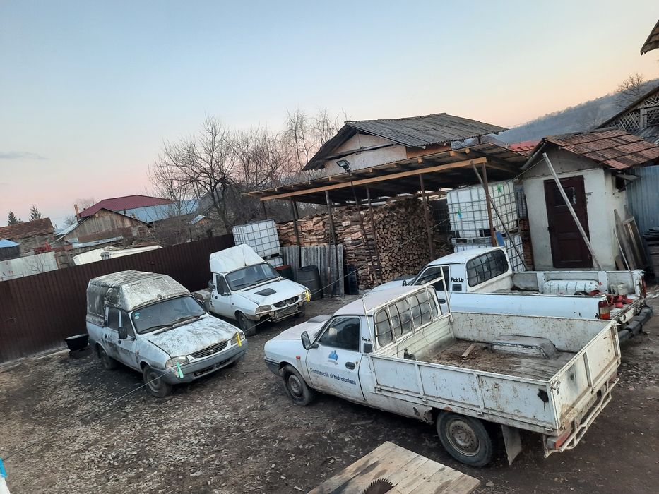 Dezmenbrez mașini dacia papuc