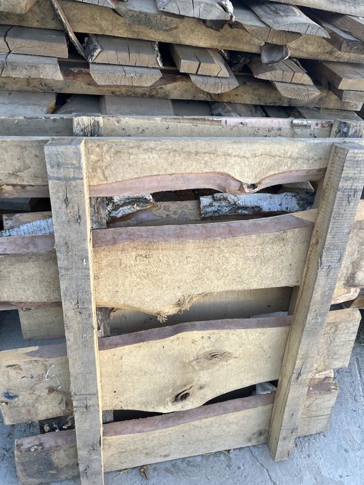 Берёзы потдоны продается кому интересно обращайтесь больше 100 шт есть