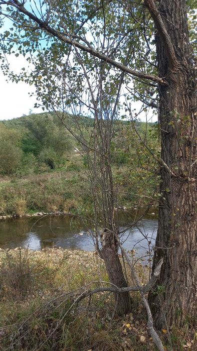 Vând teren langa apa  3 euro mp MEHADIA la 8 km de BĂILE HERCULANE