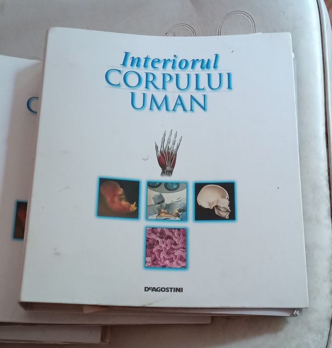 Seria deAgostini Corpul uman