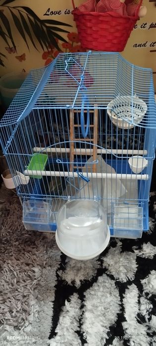 Vând colivie peruși