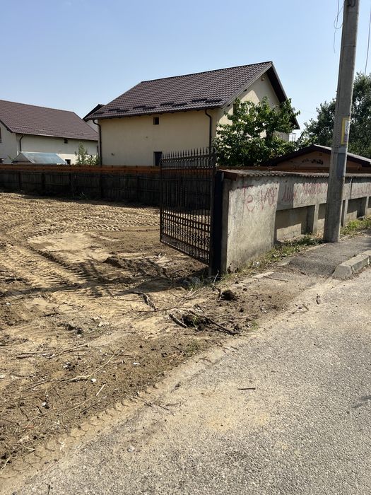 Curatare terenuri lasate in paragina