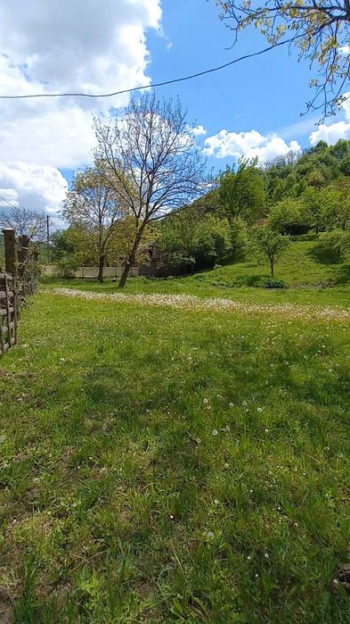 Teren intravilan 50 m latime . 5600m