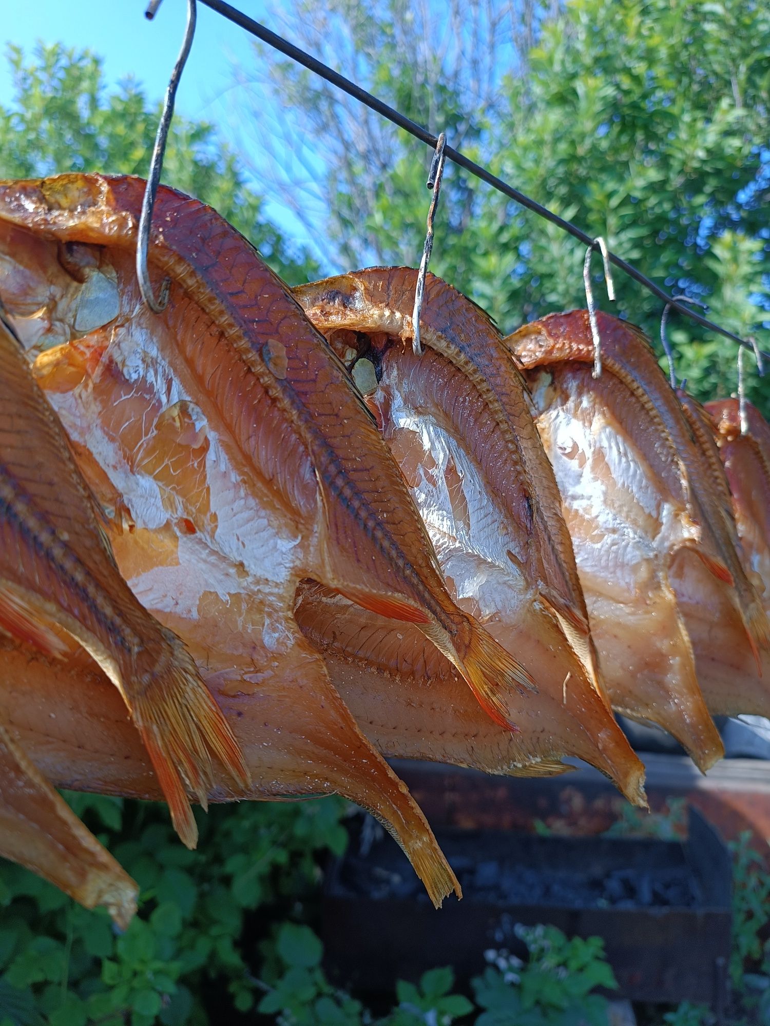 Продам копченный карась, окунь, щука, линь, чебак.