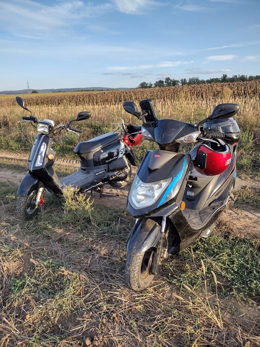 Scooter (with and without driver's licence)