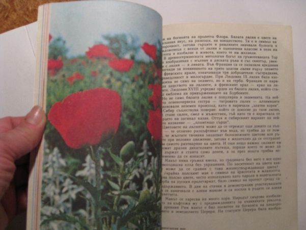 Дъга от цветя