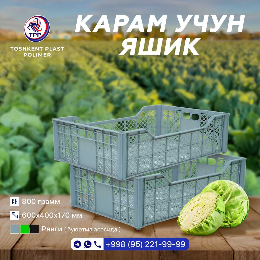 Ящик для капусты | Karam uchun yashik
