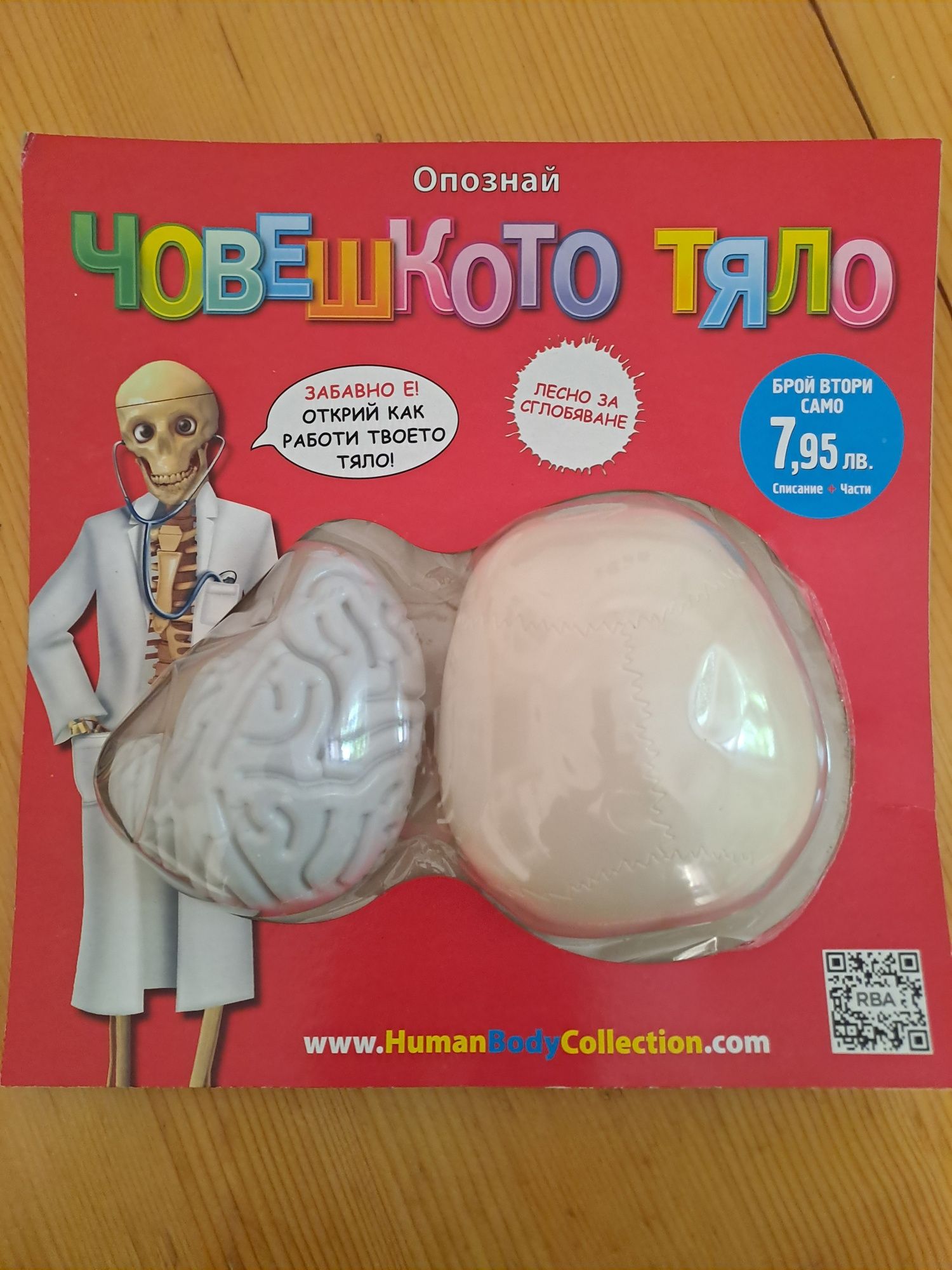 Човешкото тяло части