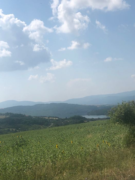 Продава се Парцел в с. Лобош, Област Перник - 5900 кв.м за 7 €/кв.м - Снимка #1