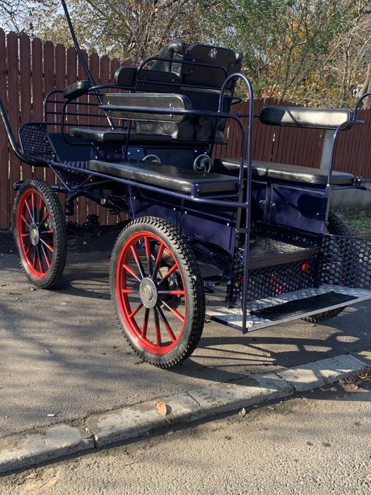 Trasura maraton de vanzare sau schimb cu iapa sura cu forme