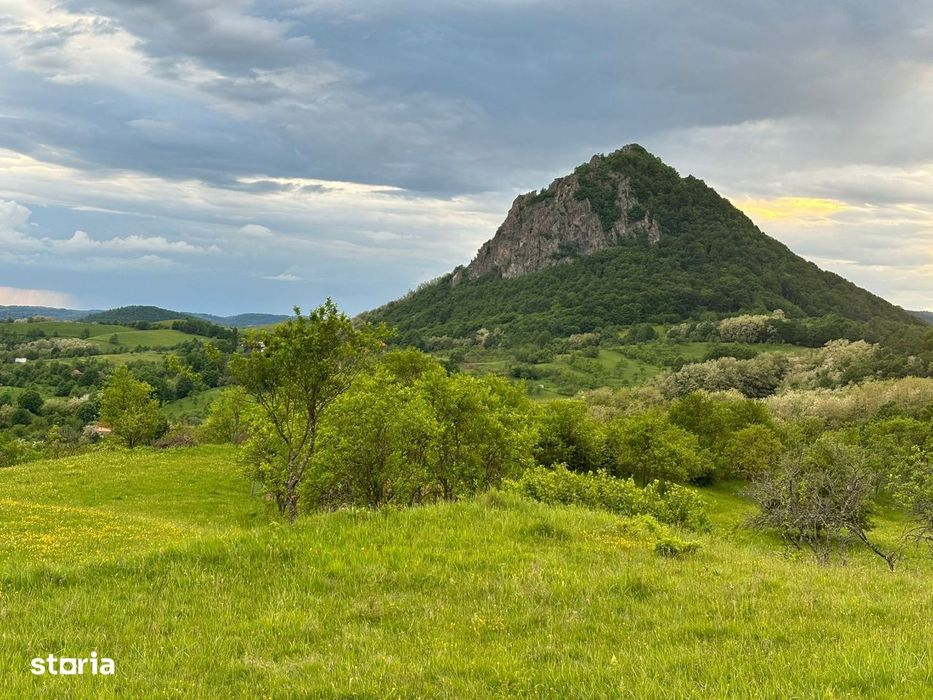 Teren si padure de vanzare in sat Hartagani, comuna Baita