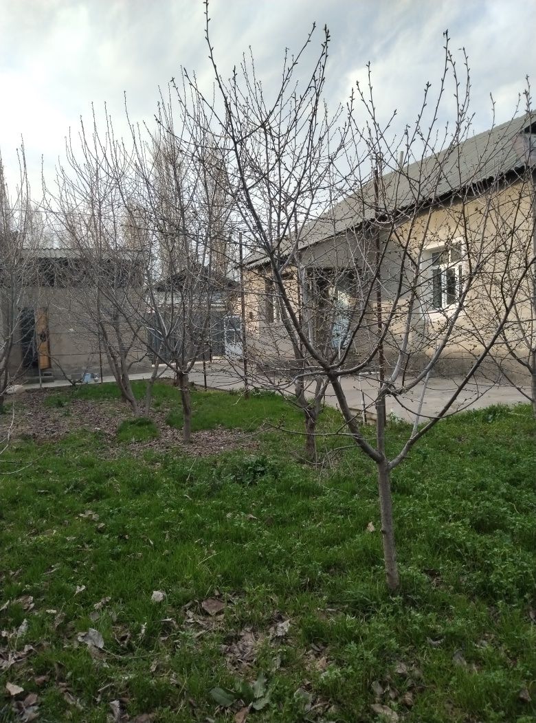 Ховли уй сотилади. Юқори Чирчиқ тумани Саксанота КФИ .Тоштуғизоқ мах.