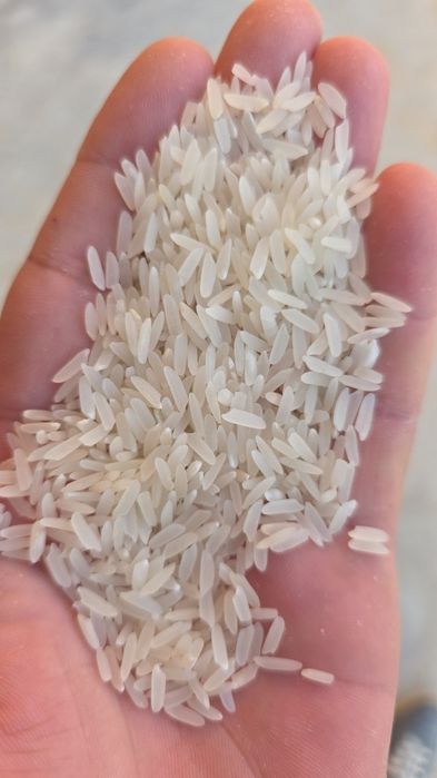 Бурунч бурунч гуруч сотилади чекланмаган микдорда