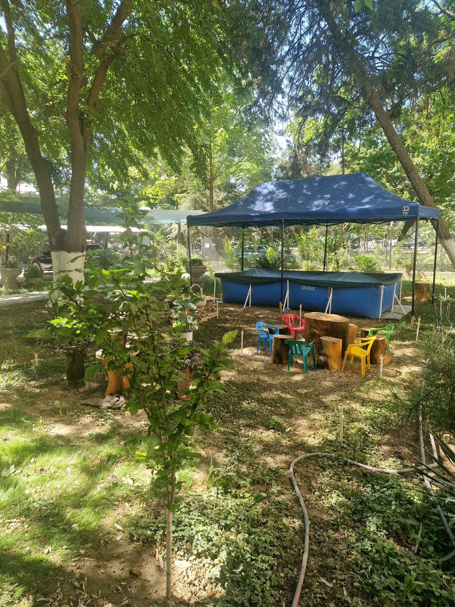Лисунова На Дубовой La Terrace С Большой Террасой, Природа как в Лесу!